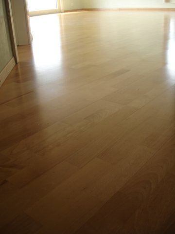 beautifulmapleflooringintheentrywayandsalon.jpg