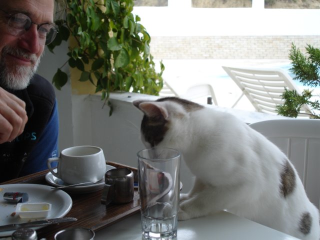 breakfastwiththecatsinmatala.jpg