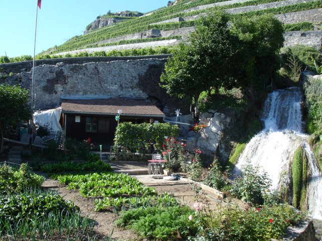 thegardenandwaterfallsinthemiddleoflavaux.jpg