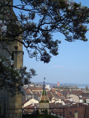 roofsofneuchatel.jpg