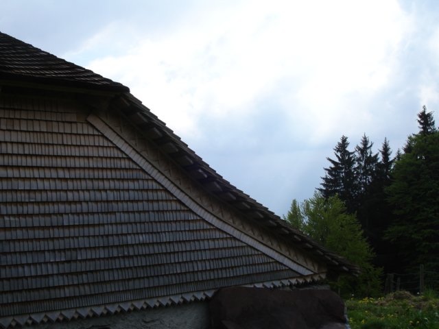 roofandtrees.jpg