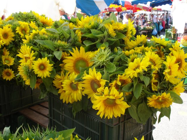 bouqetsoftournesols.jpg