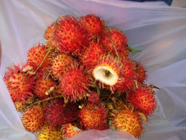 rambutans.jpg