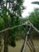 thebirdpreservethemonkeybridge_small.jpg