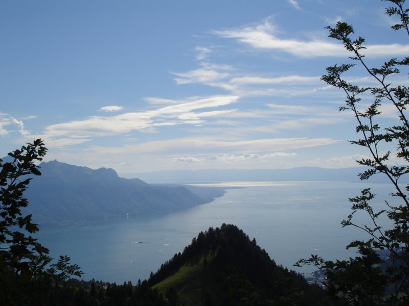 beautifulviewsoverlakegeneva3.jpg