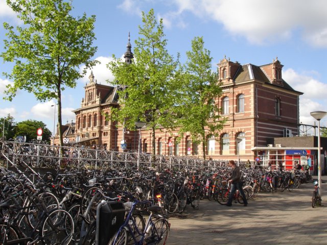 bicyclesinamsterdam2.jpg