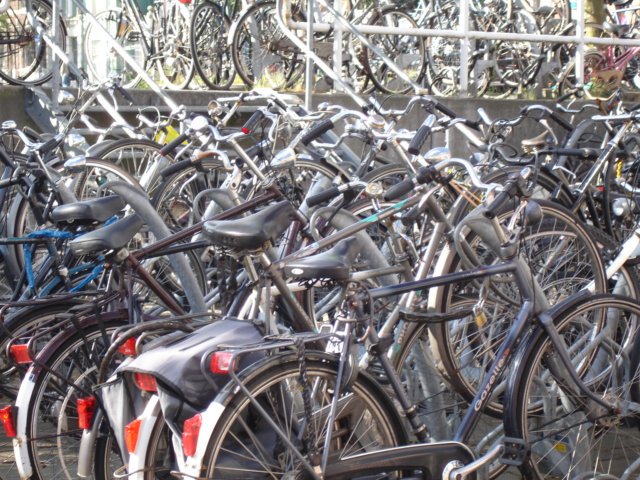 bicyclesinamsterdam3.jpg