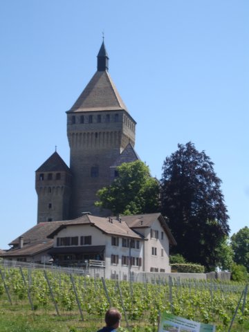 approachtovufflenslechateau.jpg