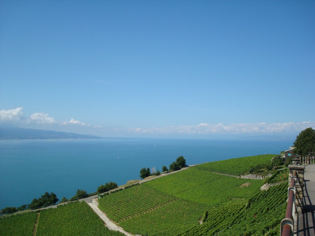 lavauxandlakegeneva.jpg