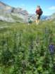 overthecrestofthispatchofgrassandflowersisthelakecreatedbythedamat2033m_small.jpg