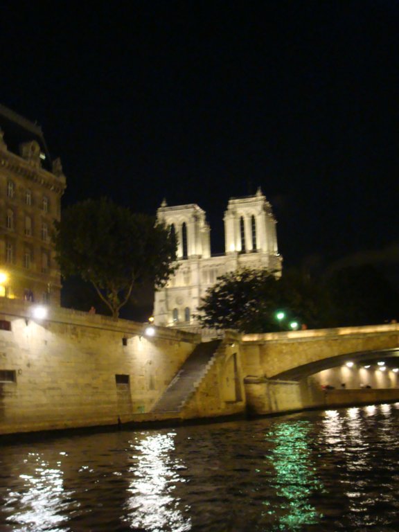 notredamefromtheriverseine.jpg