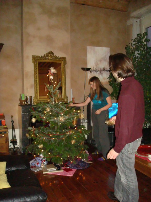 onceattheapartmentinlyonnikkiandaustindecoratethechristmastree.jpg