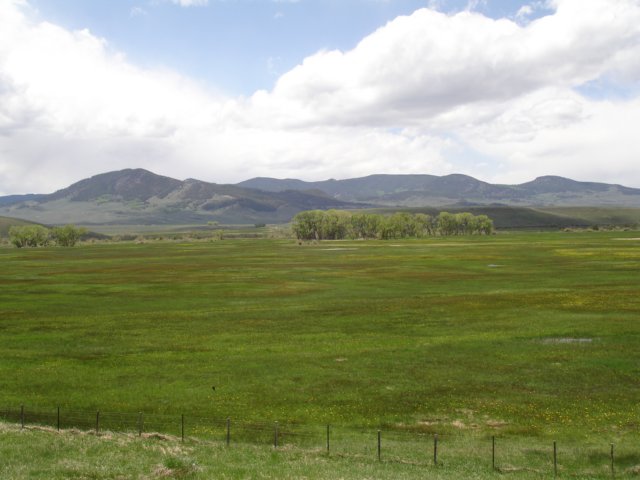 meadowsalongthegunnisonii.jpg