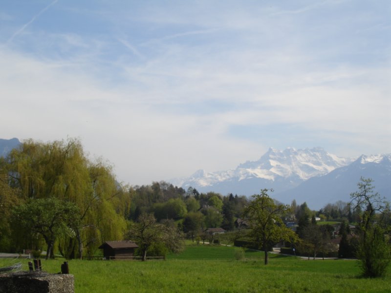 withtheviewofthedentsdumidi.jpg