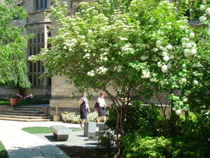 briandviviinthesaybrookhallcourtyard.jpg