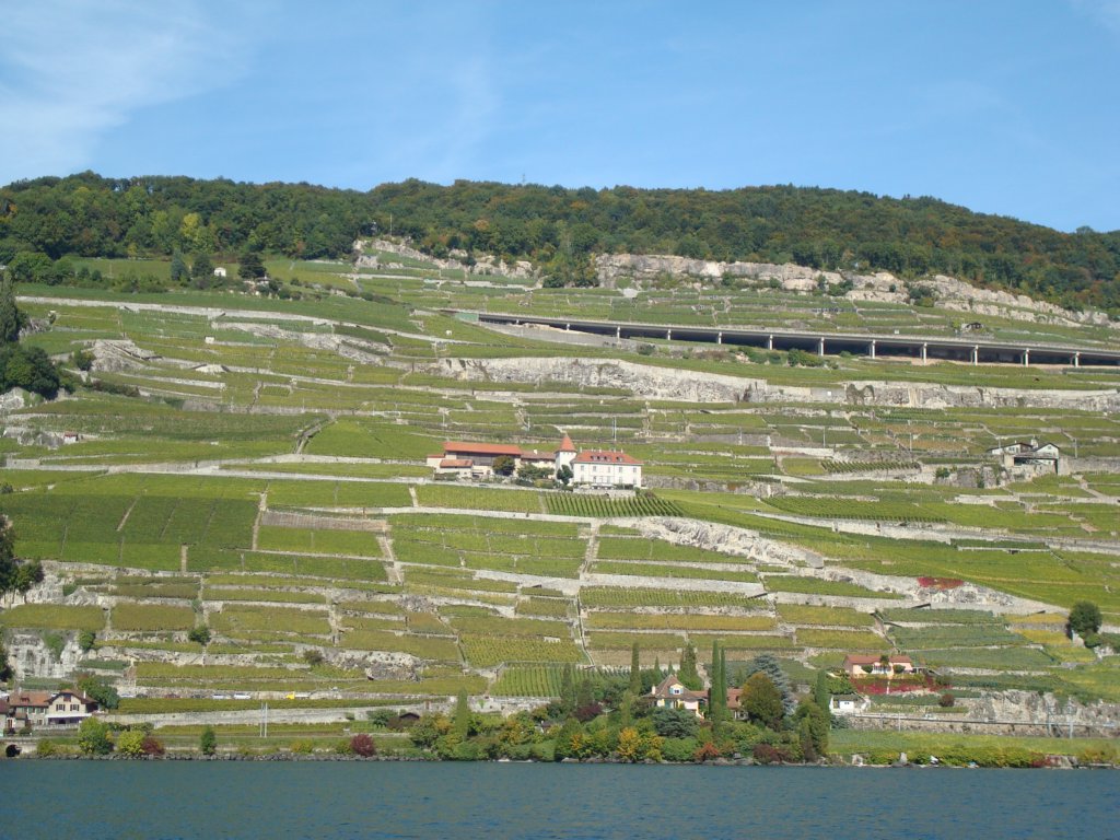 lavaux.jpg