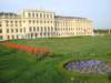 schnbrunnpalacegardens_small.jpg