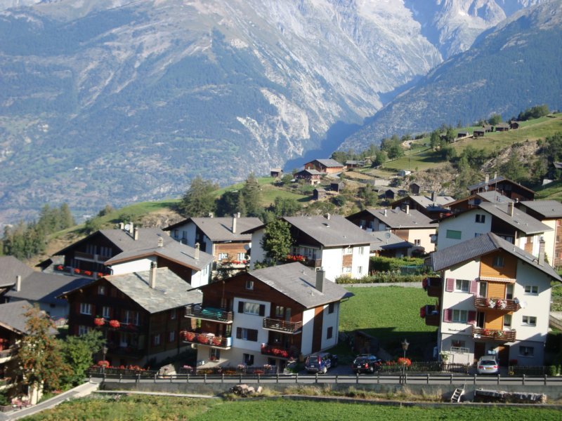 yourstandardorderlylittleswissvillage.jpg