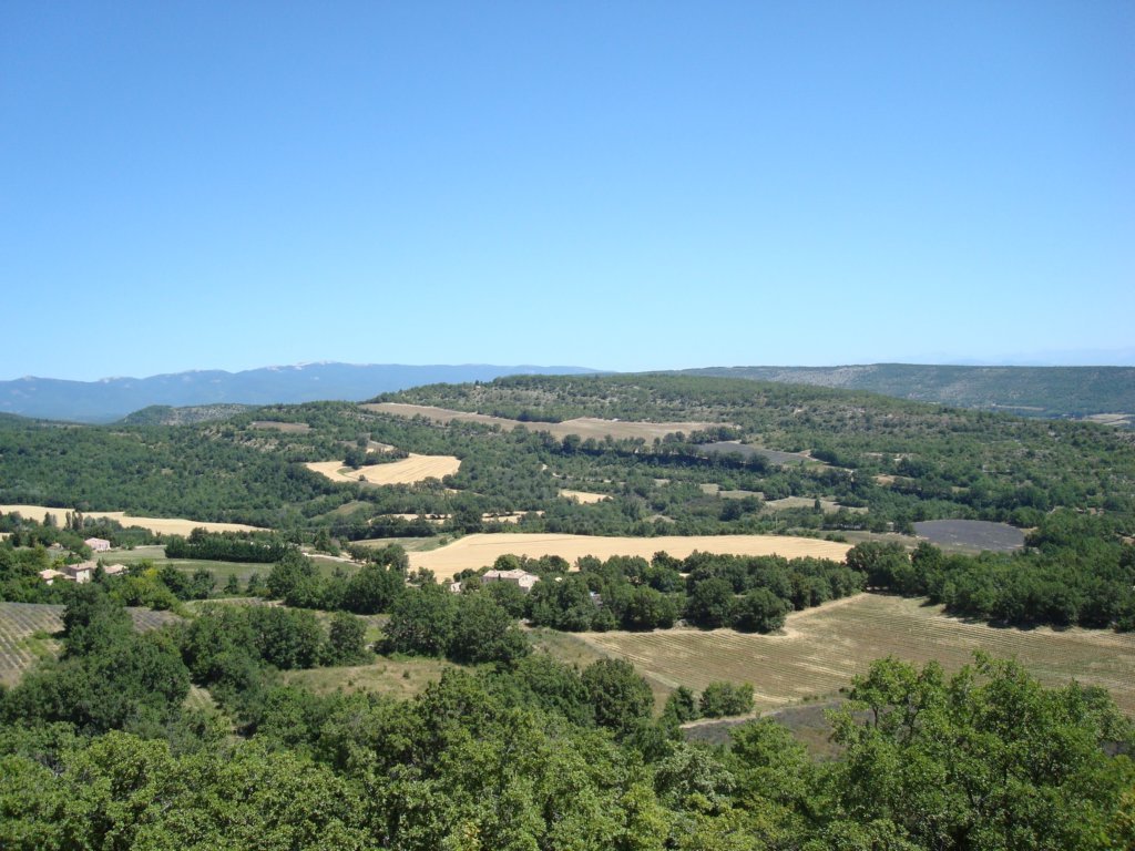 lavenderfieldsandoakwoodlandsofprovence.jpg