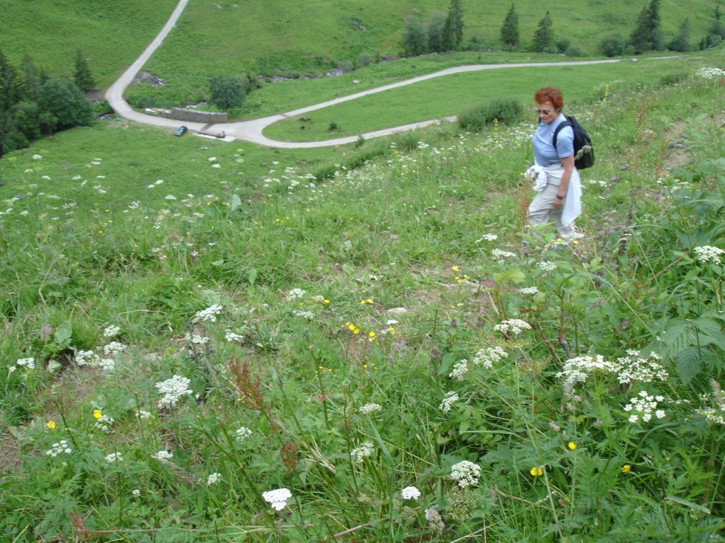 startingthesteepclimbtherewerefieldsofwildflowers.jpg