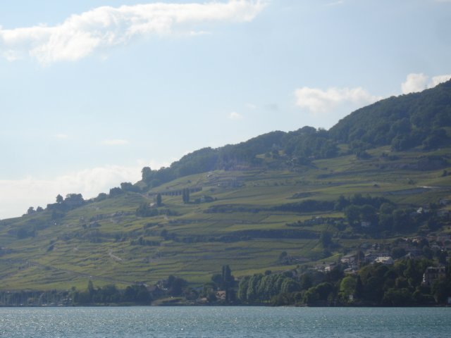 lavauxasseenfromvevey.jpg