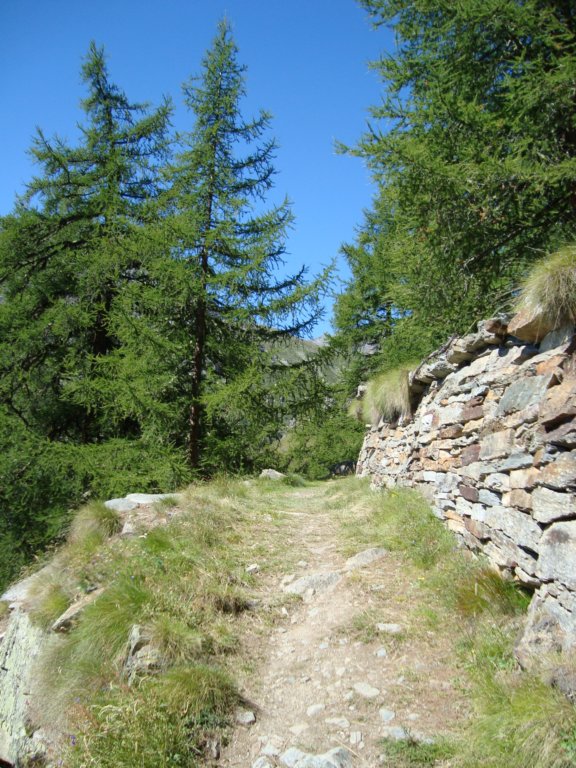 beautifulwellkepttrailandstonewalls.jpg