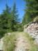 beautifulwellkepttrailandstonewalls_small.jpg