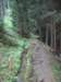 wefoundabeautifultrailinthewoodsheadingtoayer_small.jpg