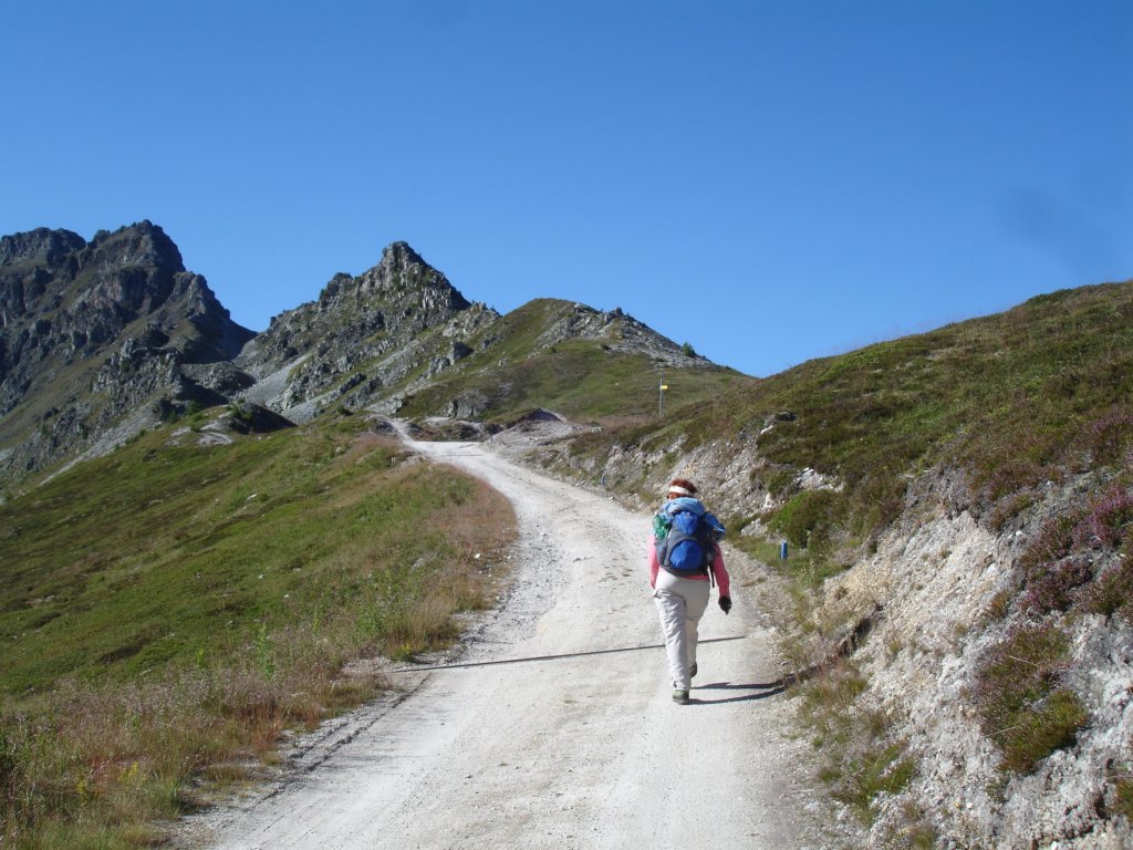 wegotontheroadtohotelweisshorn.jpg