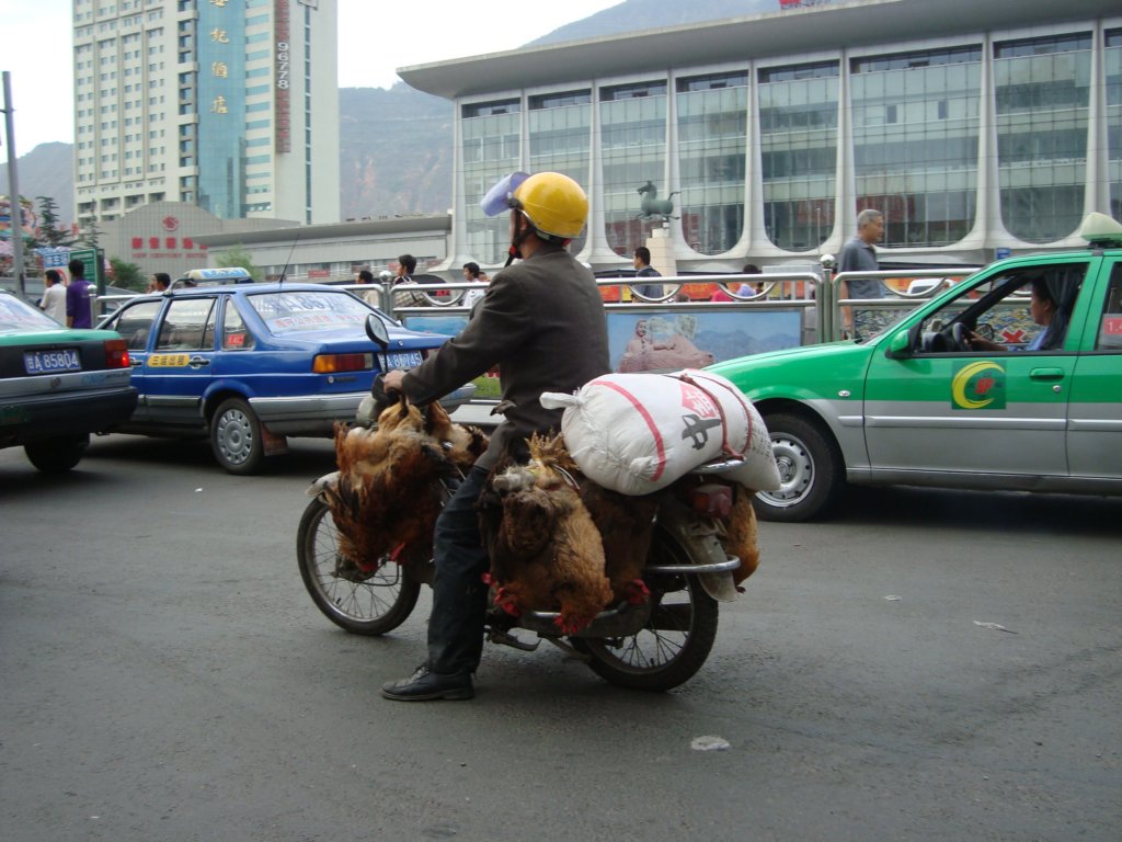 fromthetaxiasweareheadingintolanghzoucitycenter.jpg