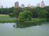 centralpark_small.jpg