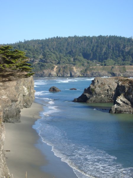 mendocinoheadlands3.jpg