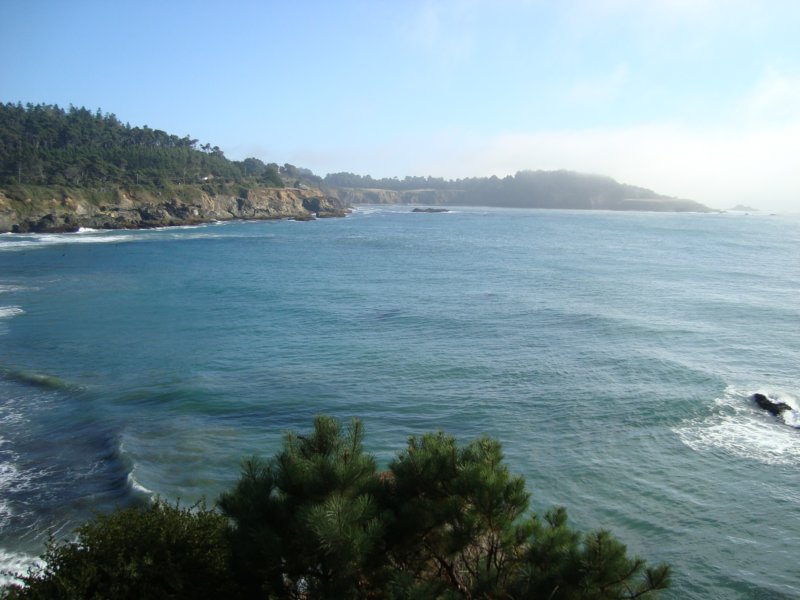 mendocinoheadlands4.jpg