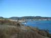 mendocinoheadlandslookingtothemouthoftheriver_small.jpg
