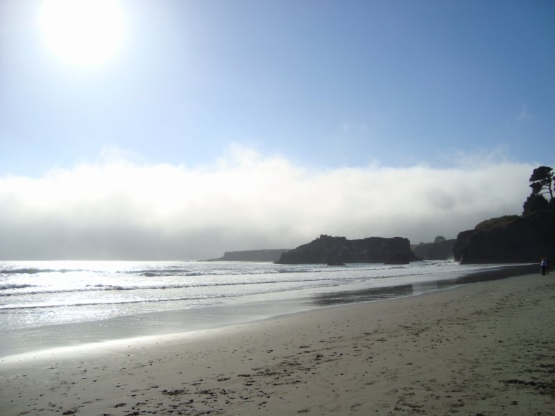 oceanandfogbank.jpg