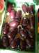 eggplantart_small.jpg