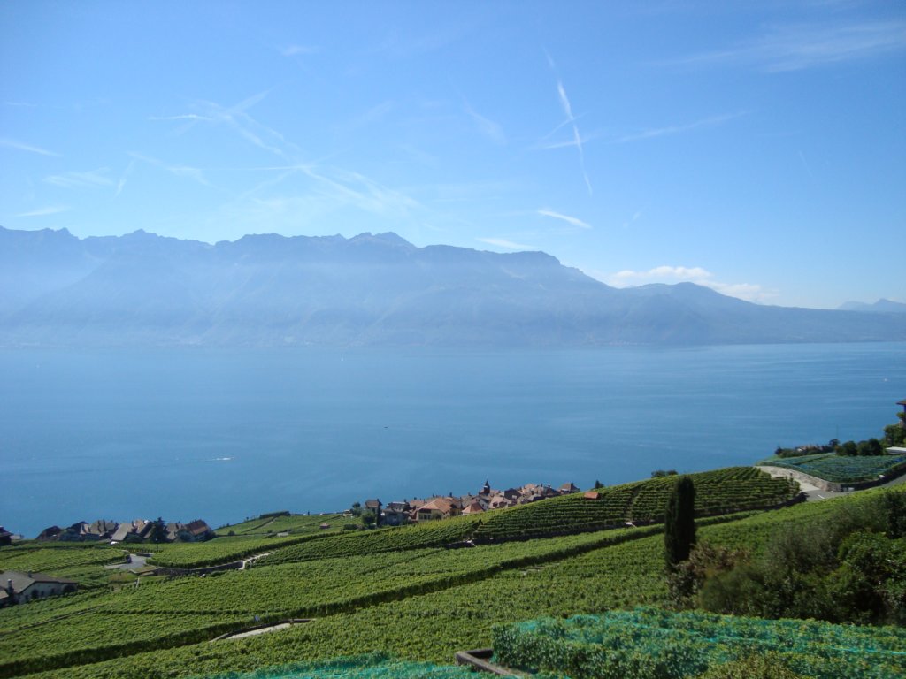 lavauxandlakegeneva2.jpg
