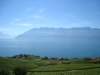 lavauxandlakegeneva_small.jpg