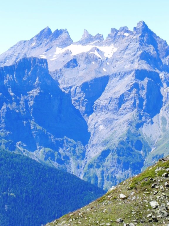 dentsdumidi2.jpg