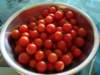 pearltomatoes_small.jpg