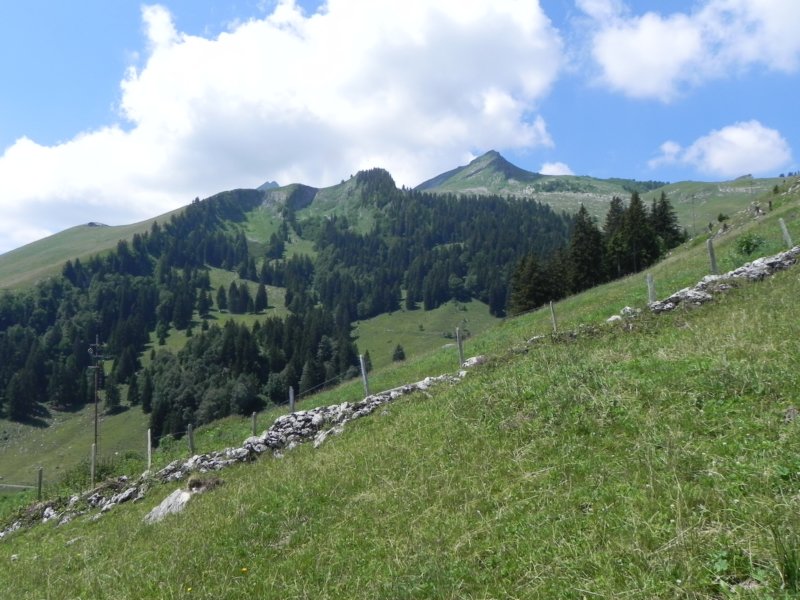 panorama5.jpg