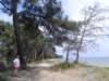thebeachtrailnearlessalinesdhyeres2_small.jpg
