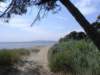 thebeachtrailnearlessalinesdhyeres_small.jpg
