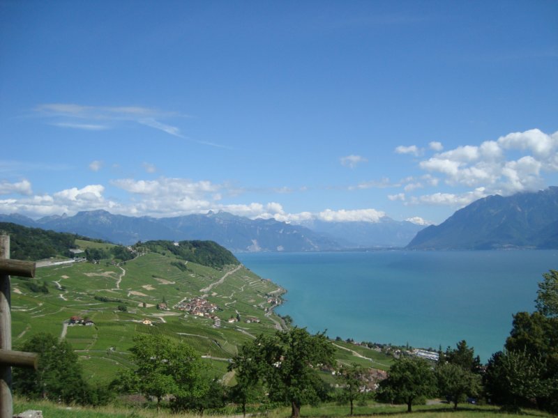 lavauxandleman.jpg