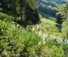 headinguptosonloup_small.jpg