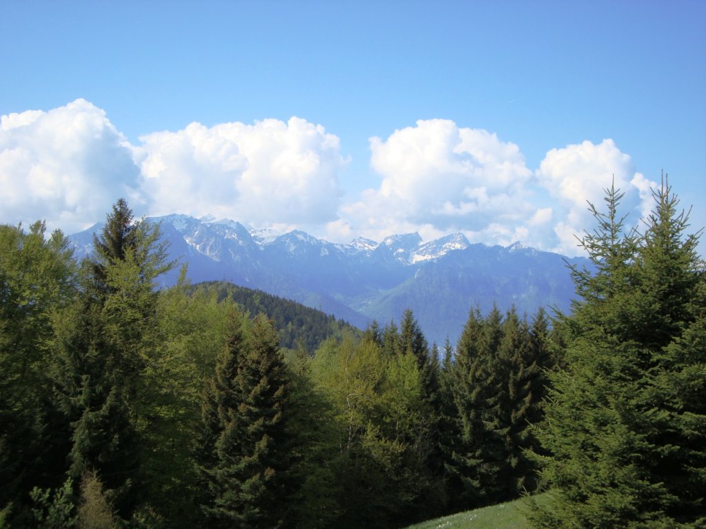 springmountains.jpg