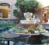 fountainplaza_small.jpg