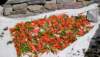 dryingpeppers_small.jpg