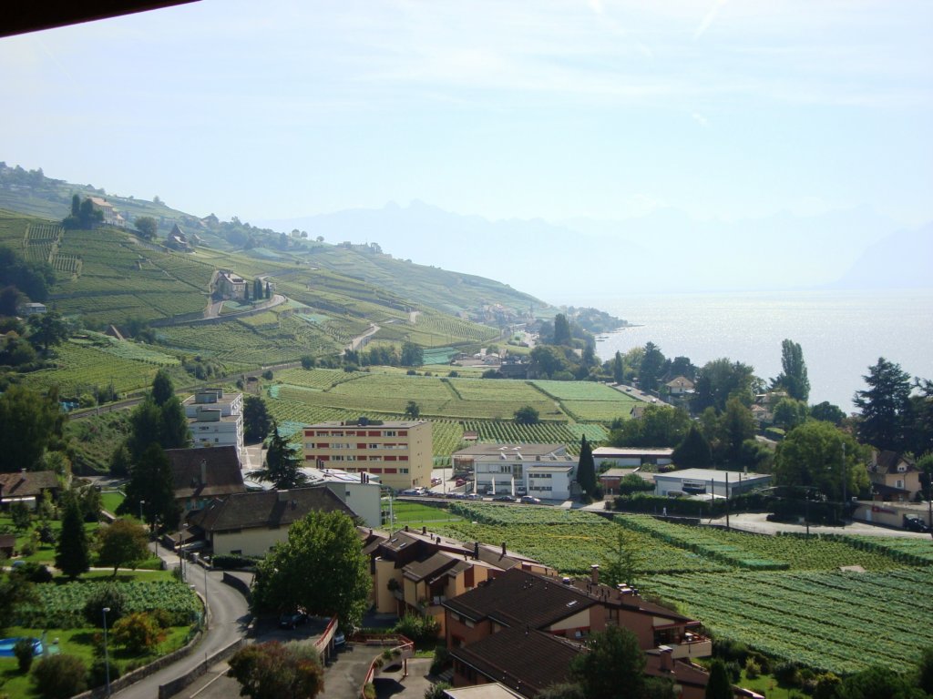towardsmontreuxacrossthelavaux.jpg