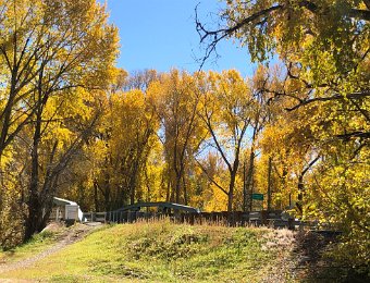 Mancos CO 25 Oct 2024